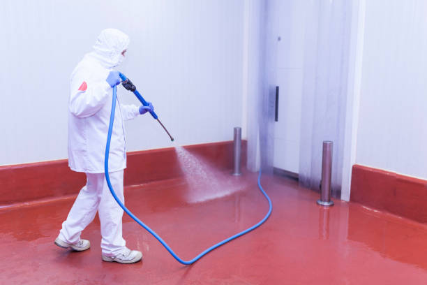 Professional Pressure Washing Services in Alton, IA