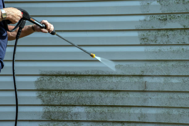 Best Residential House Exterior Washing  in Alton, IA