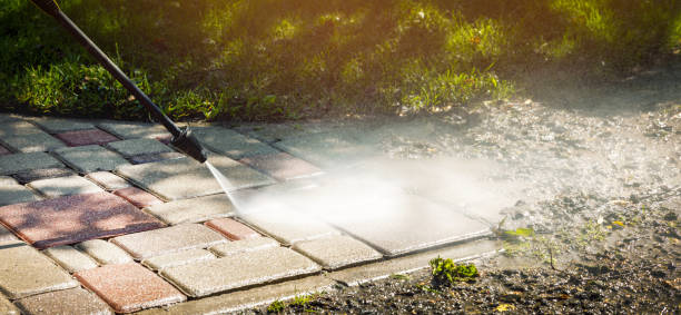 Best Roof Washing  in Alton, IA