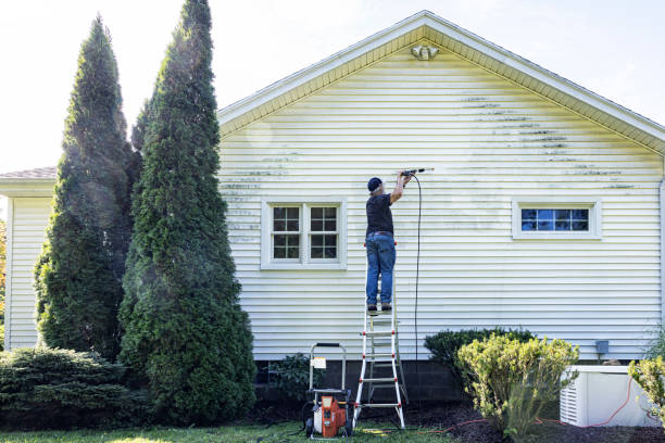 Best Solar Panel Cleaning  in Alton, IA