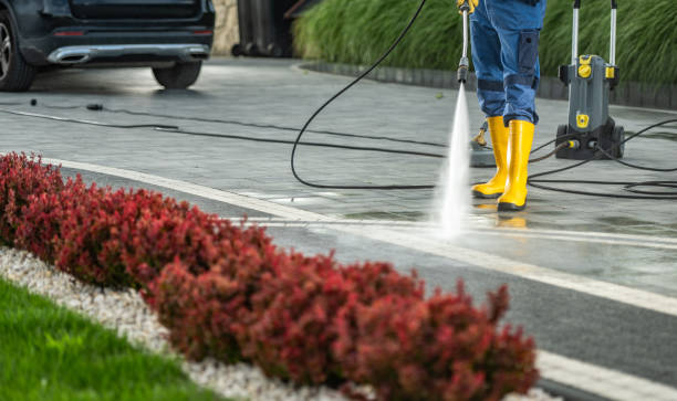Best Sidewalk and Walkway Cleaning  in Alton, IA
